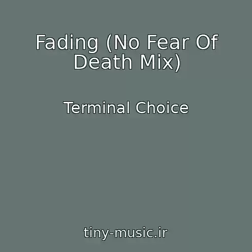 کاور آهنگ Fading (No Fear Of Death Mix) از Terminal Choice