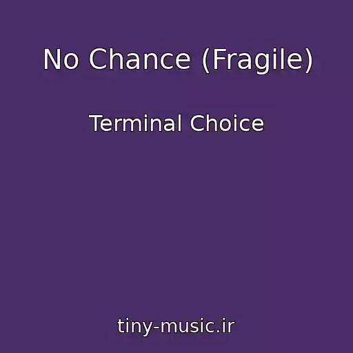 کاور آهنگ No Chance (Fragile) از Terminal Choice