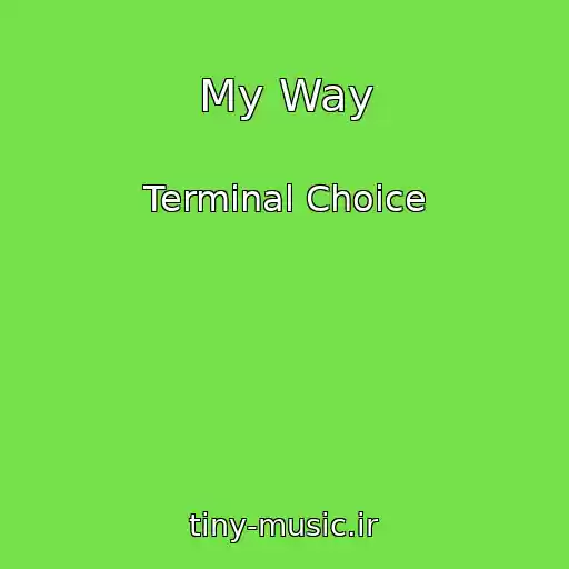 کاور آهنگ My Way از Terminal Choice