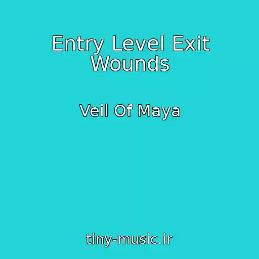 کاور آهنگ Entry Level Exit Wounds از Veil Of Maya