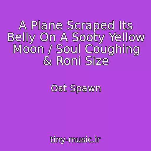 کاور آهنگ A Plane Scraped Its Belly On A Sooty Yellow Moon / Soul Coughing & Roni Size از Ost Spawn