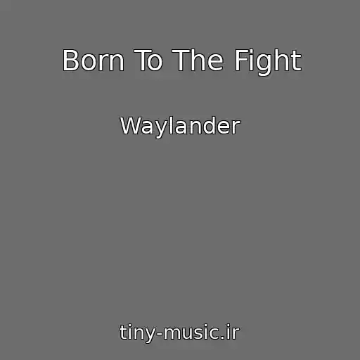 کاور آهنگ Born To The Fight از Waylander