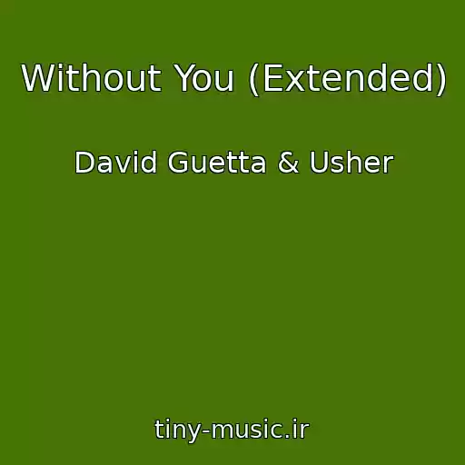 کاور آهنگ Without You (Extended) از David Guetta & Usher