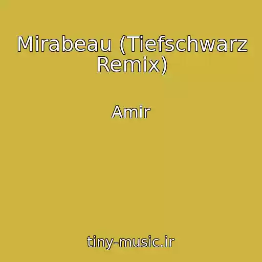 کاور آهنگ Mirabeau (Tiefschwarz Remix) از Amir