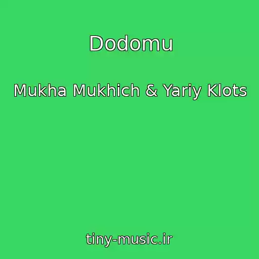 کاور آهنگ Dodomu از Mukha Mukhich & Yariy Klots