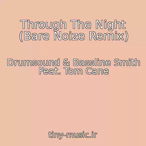 کاور آهنگ Through The Night (Bare Noize Remix) از Drumsound & Bassline Smith Feat. Tom Cane