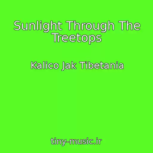 کاور آهنگ Sunlight Through The Treetops از Kalico Jak Tibetania