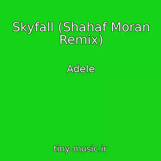 کاور آهنگ Skyfall (Shahaf Moran Remix) از Adele