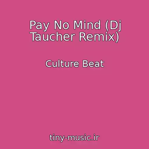 کاور آهنگ Pay No Mind (Dj Taucher Remix) از Culture Beat