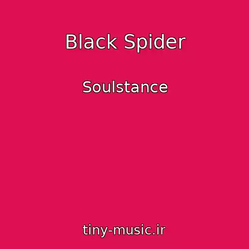 کاور آهنگ Black Spider از Soulstance