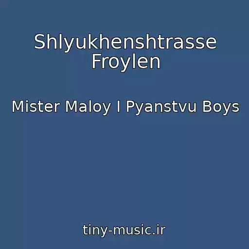 کاور آهنگ Shlyukhenshtrasse Froylen از Mister Maloy I Pyanstvu Boys