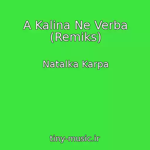 کاور آهنگ A Kalina Ne Verba (Remіks) از Natalka Karpa