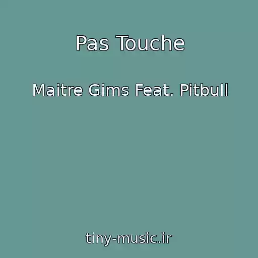 کاور آهنگ Pas Touche از Maitre Gims Feat. Pitbull