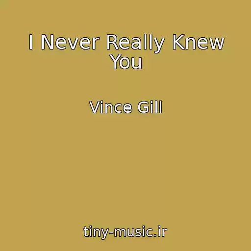 کاور آهنگ I Never Really Knew You از Vince Gill