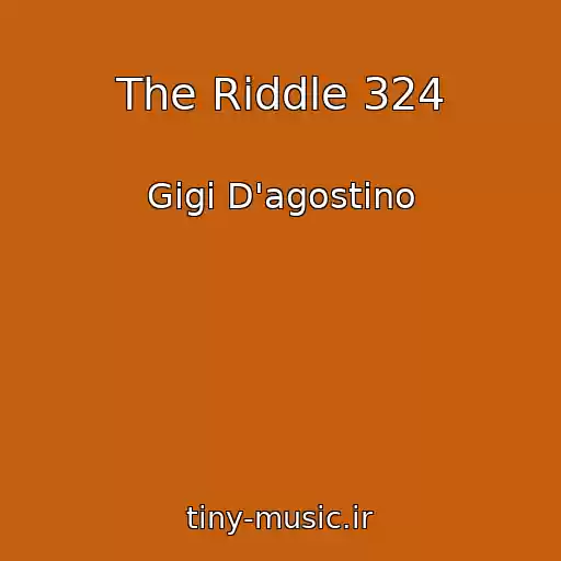 کاور آهنگ The Riddle 324 از Gigi D'agostino