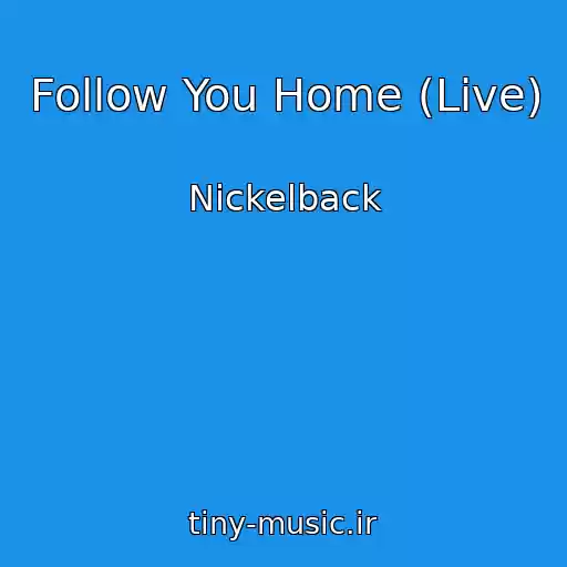 کاور آهنگ Follow You Home (Live) از Nickelback
