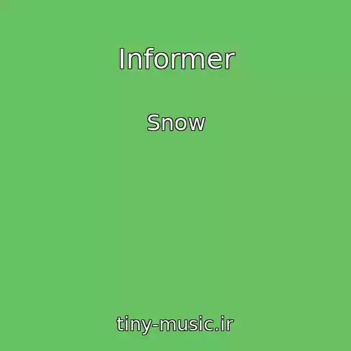 کاور آهنگ Informer از Snow