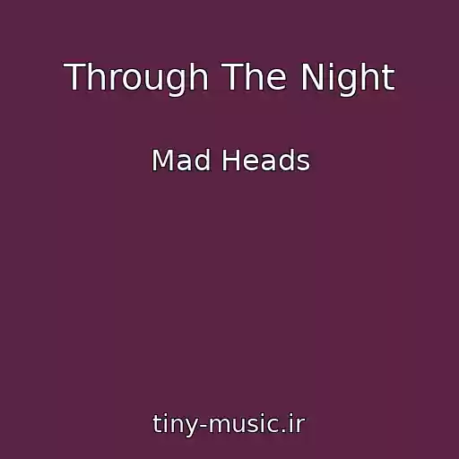 کاور آهنگ Through The Night از Mad Heads