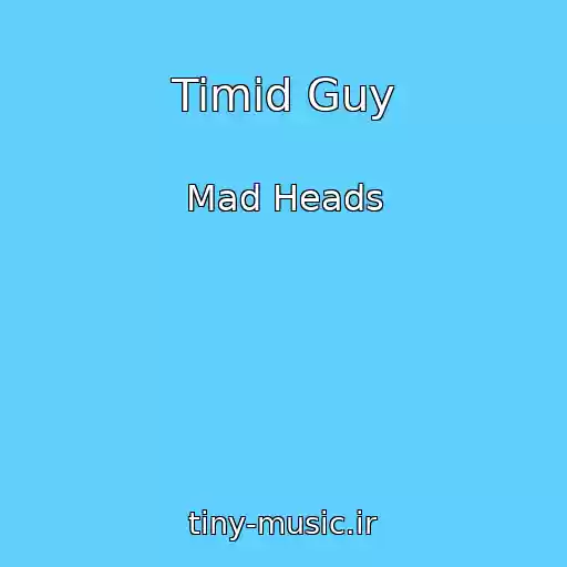 کاور آهنگ Timid Guy از Mad Heads