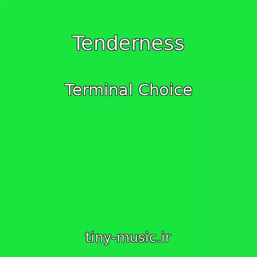 کاور آهنگ Tenderness از Terminal Choice