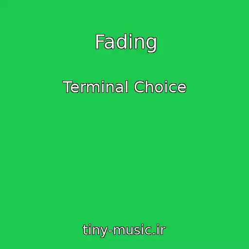 کاور آهنگ Fading از Terminal Choice