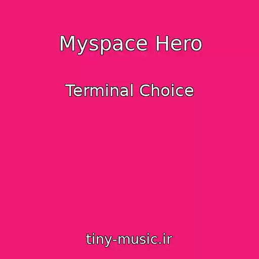 کاور آهنگ Myspace Hero از Terminal Choice