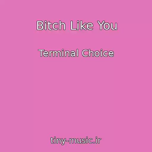 کاور آهنگ Bitch Like You از Terminal Choice