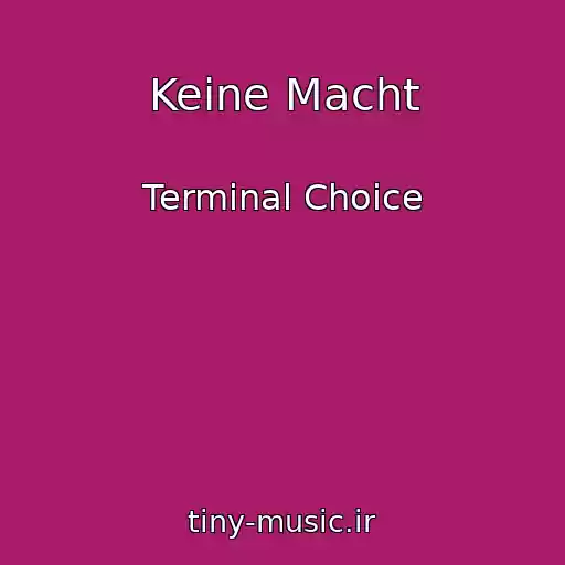 کاور آهنگ Keine Macht از Terminal Choice