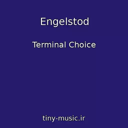 کاور آهنگ Engelstod از Terminal Choice