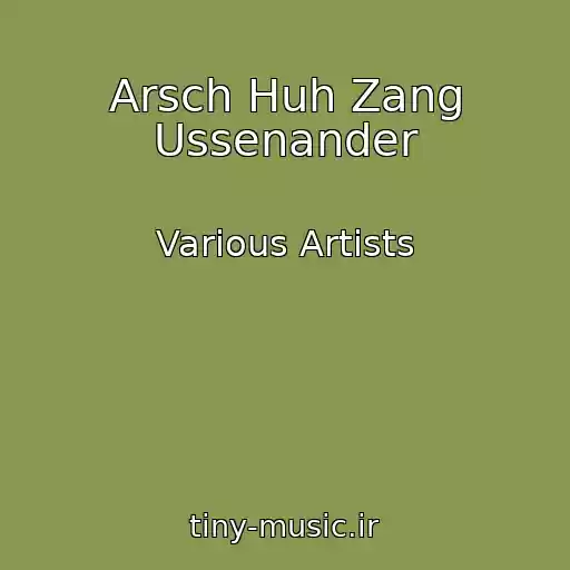 کاور آهنگ Arsch Huh Zang Ussenander از Various Artists