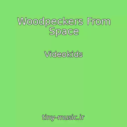 کاور آهنگ Woodpeckers From Space از Videokids