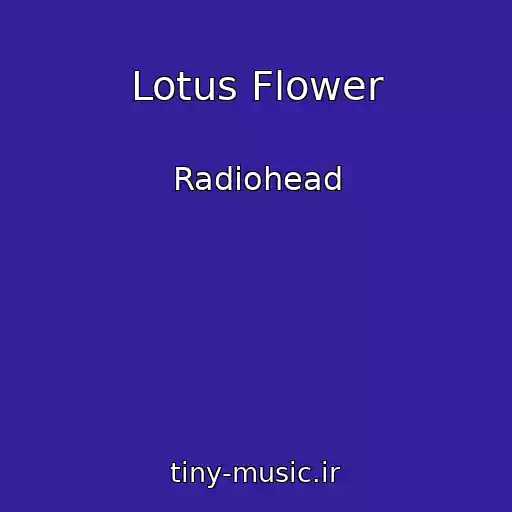 کاور آهنگ Lotus Flower از Radiohead