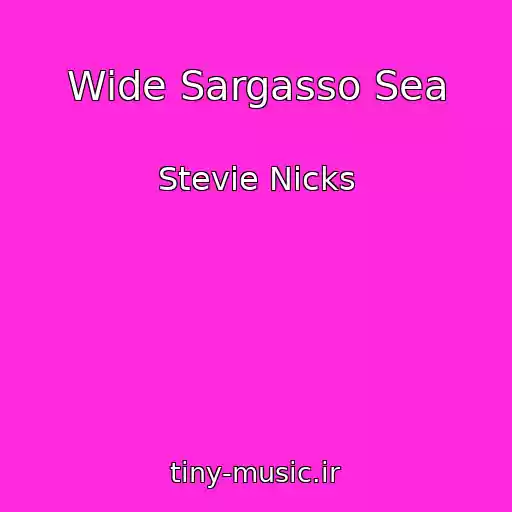 کاور آهنگ Wide Sargasso Sea از Stevie Nicks
