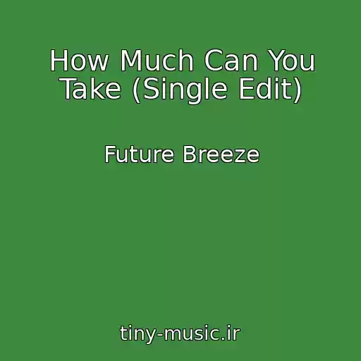 کاور آهنگ How Much Can You Take (Single Edit) از Future Breeze