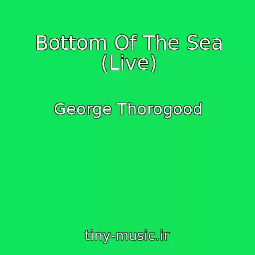 کاور آهنگ Bottom Of The Sea (Live) از George Thorogood