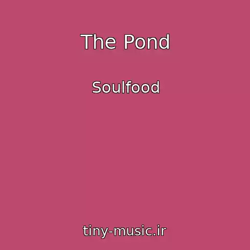 کاور آهنگ The Pond از Soulfood