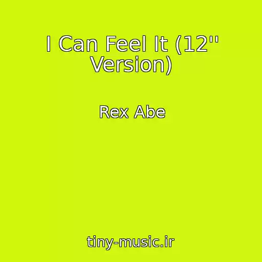 کاور آهنگ I Can Feel It (12'' Version) از Rex Abe