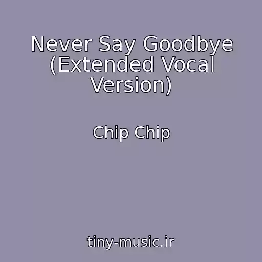 کاور آهنگ Never Say Goodbye (Extended Vocal Version) از Chip Chip