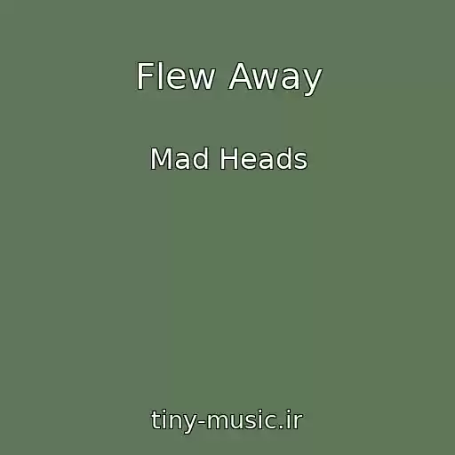 کاور آهنگ Flew Away از Mad Heads