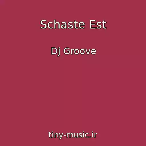 کاور آهنگ Schaste Est از Dj Groove