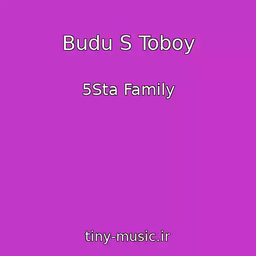 کاور آهنگ Budu S Toboy از 5Sta Family