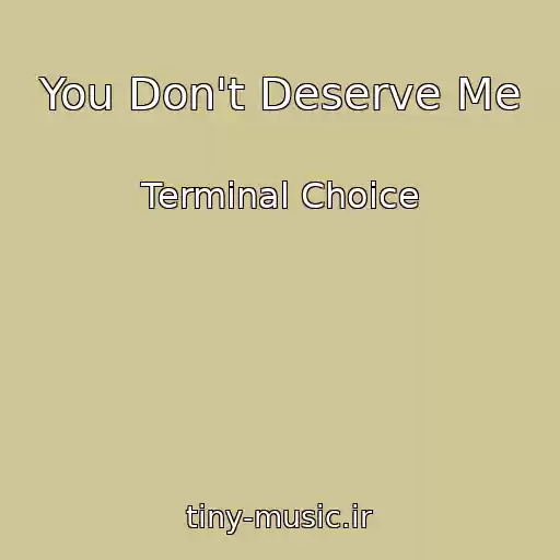 کاور آهنگ You Don't Deserve Me از Terminal Choice