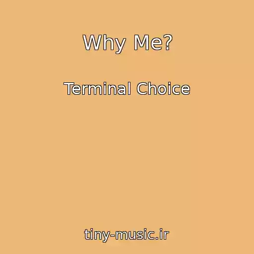 کاور آهنگ Why Me? از Terminal Choice