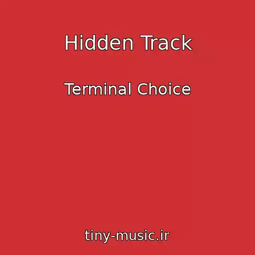 کاور آهنگ Hidden Track از Terminal Choice