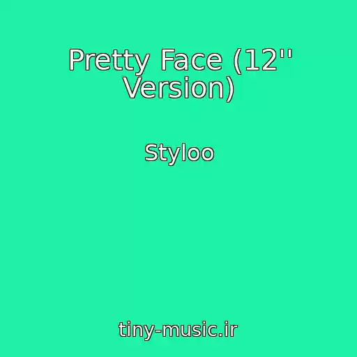 کاور آهنگ Pretty Face (12'' Version) از Styloo
