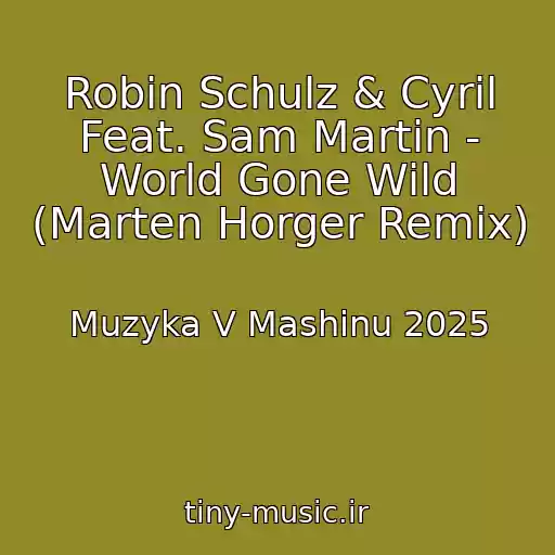 کاور آهنگ Robin Schulz & Cyril Feat. Sam Martin - World Gone Wild (Marten Horger Remix) از Muzyka V Mashinu 2025