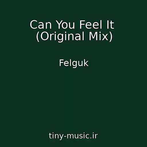 کاور آهنگ Can You Feel It  (Original Mix) از Felguk