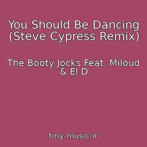 کاور آهنگ You Should Be Dancing (Steve Cypress Remix) از The Booty Jocks Feat. Miloud & El D