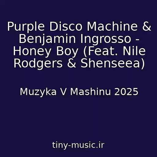 کاور آهنگ Purple Disco Machine & Benjamin Ingrosso - Honey Boy (Feat. Nile Rodgers & Shenseea) از Muzyka V Mashinu 2025