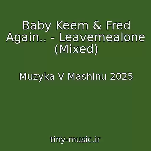 کاور آهنگ Baby Keem & Fred Again.. - Leavemealone (Mixed) از Muzyka V Mashinu 2025